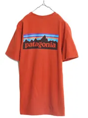 【お得なクーポン配布中!】 17年製 パタゴニア 両面 プリント 半袖 Tシャツ メンズ S 古着 Patagonia アウトドア P6 バックプリント オーガニック コットン テラコッタ