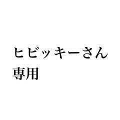 SkyCraft硬式野球グローブ内野用 - SkyCraft - メルカリ