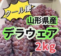 全国一律料金‼️沖縄の方も是非‼️山形県産　デラウェア　葡萄　ぶとう　2kg ハウス