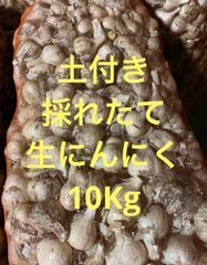 新物令和8年度産 乾燥ニンニク 福地ホワイト六片 S玉10キロ➕おまけ