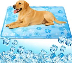 Item thumbnail for item caebf5b0-0d81-4fe8-be17-2ddeac3ddce4