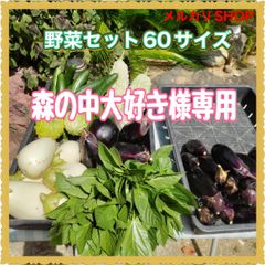 【森の中大好き様専用】畑直送！野菜セット60サイズクール便