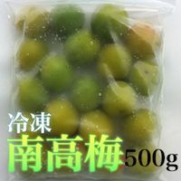 冷凍 南高梅 和歌山県産 500g 2023年度産南高梅使用