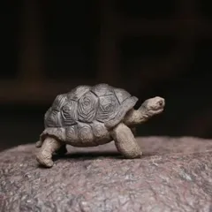 亀 カメ 紫砂 置物 オブジェ 金運 仕事運 健康運 伝統的 高品質 風水 運気 開運 縁起物 厄除け インテリア 玄関 財運 運気アップ 玄関 リビング 可愛い