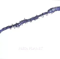 【中古】邦楽CD FERN PLANET / stardustbox