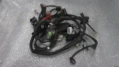 カブFI　AA01-1776xxx　の　メインハーネス:#1652836784