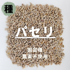 【種】パセリ　農薬不使用　70粒