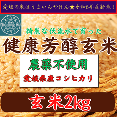 健康芳醇玄米　　無農薬栽培　コシヒカリ　愛媛県産　お米　2Kg