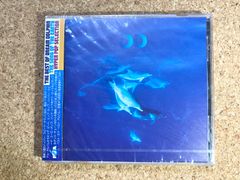 市川美織直筆サイン入りTシャツ 限定一着 エンスカイNMB48トレカ当選品