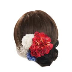 浴衣 髪飾り 成人式 卒業式 振袖 和装 着物 袴 ドライフラワー ピンク 浴衣 アクセサリー ヘアアクセサリー かんざし 花 結婚式 着物 成人式 七五三 花火大会 前撮り 卒業式 和装 花嫁 赤 白 red