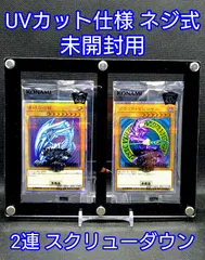 アクリルフレーム 黒【UVカット仕様未開封用 2連スクリューダウン】