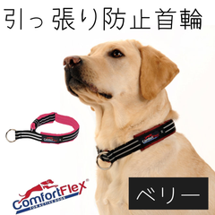 コンフォートフレックス 首輪 [ベリー] Comfortflex ハーフチョーク  犬用 リミテッドスリップカラー