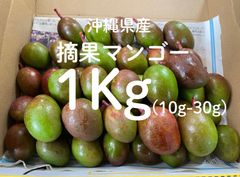 30g～】 グリーンマンゴー 青マンゴー 摘果マンゴー 約1 kg - メルカリ