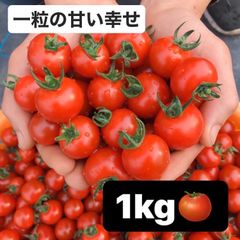 【メルカリ特別価格】濃厚美味しいミニトマト 箱込み1kg