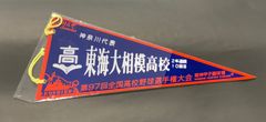 第97回全国高校野球選手権大会　神奈川代表　東海大相模高校  1035
