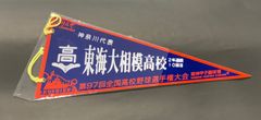 第97回全国高校野球選手権大会　神奈川代表　東海大相模高校  1035のサムネイル