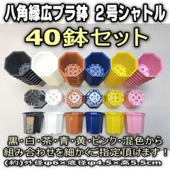 ◆平日＊日中注文即日発送-シャトル鉢八角鉢縁広プラ鉢2号＊白/黒/茶/青/黄/ピンク＊組み合わせ自由40鉢セット＊多肉植物・塊根植物コーデックス・アガベ・サボテン・盆栽・観葉・ハオルチア・アデニウム・パキポディウム・実生＠フラワーショップ江口