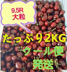アメリカンチェリー 9.5(R) さくらんぼ　2kg ダークチェリー　サクランボ アメリカンチェリー 9.5R大粒 約2kg アメリカ産 : 美味旬果