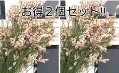 グレイッシュピンク大束 お得2個セット・めぐみ工房 北海道ドライフラワー