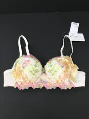 2025年最新】サルート ブラジャー c70の人気アイテム - メルカリ