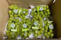 山梨県JAふえふきシャインマスカット3パック 約900g - メルカリ