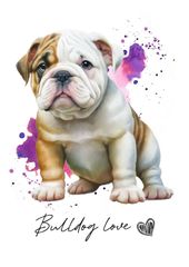 ポストカード【 Bulldog / ブルドッグ 】イラスト アート 水彩画風 パステルカラー はがき -1