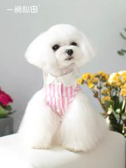 RIOSTUDIO 犬服 春夏 【日本初上陸】PEEKAPOODLE 一閲心田 デザイナーズ犬の服 ドッグウェア ペットウェア ストライプ柄【フリフリシャツ】【ピンク】