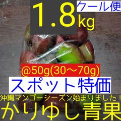 〈スポット特価〉沖縄県産 摘果マンゴー/青マンゴー@50g(30〜70g)約1.8kg【クール便】②
