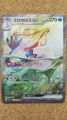 2025年最新】ミロカロス sarの人気アイテム - メルカリ