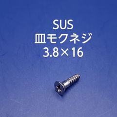 SUS　皿木ネジ　3.8×16