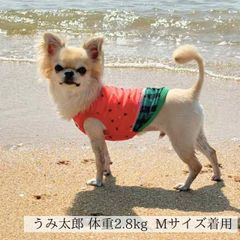 犬の服 メッシュ タンクトップ すいか チワワ トイプードル パグ スイカ ペット服 服 犬服 犬洋服 小型犬 小型犬用 ペット服 ドッグウェア ペット用品 散歩 夏 犬用 犬 いぬ メッシュ