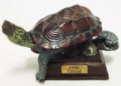 最安値 ネイチャーテクニカラー スッポン フィギュア - メルカリ