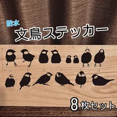 2025年最新】キンカチョウの人気アイテム - メルカリ