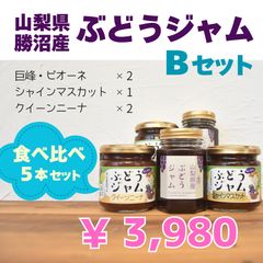 山梨県のぶどうジャム　食べ比べセットBのサムネイル
