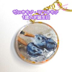 【おまけ付き】レジンキーホルダー  写真入り ハンドメイド だいきち&モンきち 1歳のお誕生日バージョン