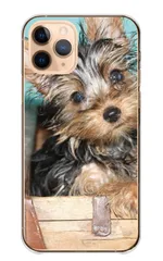 iPhone 17 Air ケース カバー アイフォン17エアー スマホケース ハードケース ヨークシャーテリア ヨーキー ベージュ 犬 いぬ イヌ 可愛い かわいい 写真 カラー01