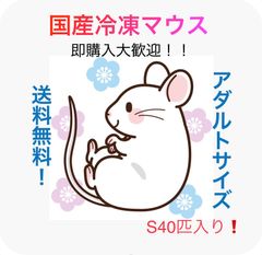 送料無料】国産冷凍マウスアダルトS 30匹入@即購入OK！北海道・沖縄の