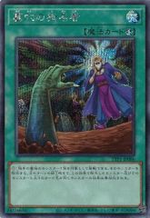 墓穴の指名者 TTP1-JP086 【シークレットレア】 TACTICAL-TRY PACK －黒魔導・ＨＥＲＯ・御巫－ 遊戯王　トレカ道