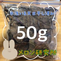 【送料無料】匿名発送★無農薬★沖縄県産 マジックリーフ 50g