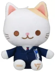 2025年最新】animal coordy seventeenの人気アイテム - メルカリ