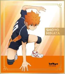 【中古】紙製品 日向翔陽 「ハイキュー!! 箔押しミニ色紙コレクション」