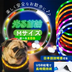 光る首輪 犬 首輪 犬 散歩 ライト 犬の首輪 光る 犬の光る首輪 犬用 レインボー 大型犬 小型犬 led おしゃれ 夜 散歩ライト 猫 Mのサムネイル