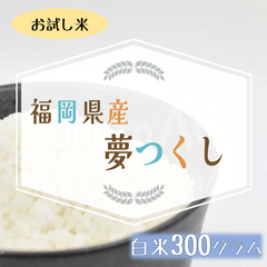 夢つくし 300g 白米 お米 5年産 2合 お試し
