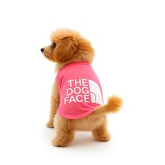 Item thumbnail for item c254fa04-1f07-4fd5-a9f2-8083550e8851