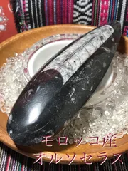 2024年最新】チョッカクガイの人気アイテム - メルカリ
