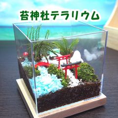 苔神社【苔テラリウム・手作りキット一式】キューブ型