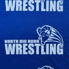 THE NIKE TEE チームロコ　プリント　ブルー　古着Tシャツ