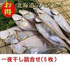 北海道宗八カレイ 送料無料　かれい 一夜干し 魚 干物 乾物 5枚セット