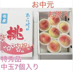 桃(日川)秀品 特大〜大玉6個 化粧箱入り 2箱 - メルカリ