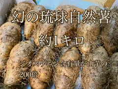 2024年最新】自然薯 じねんじょの人気アイテム - メルカリ